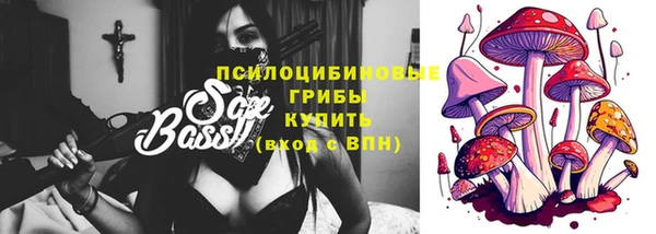 шишки Бородино