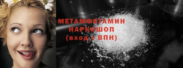 шишки Бородино