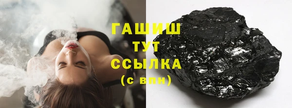 шишки Бородино