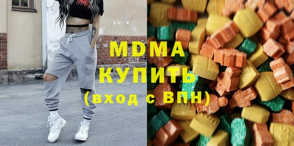 шишки Бородино