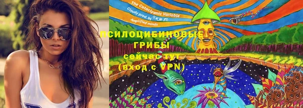 шишки Бородино