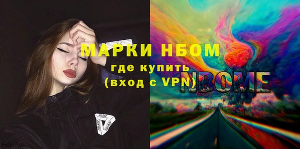 шишки Бородино