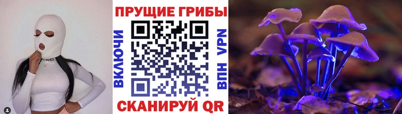 Галлюциногенные грибы прущие грибы  дарнет шоп  Клинцы 
